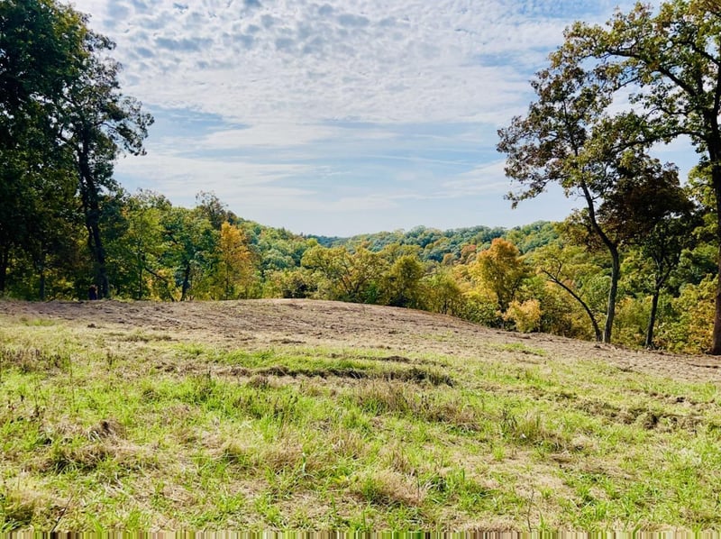 22451 Alpine Dr, Peterson, MN 55962