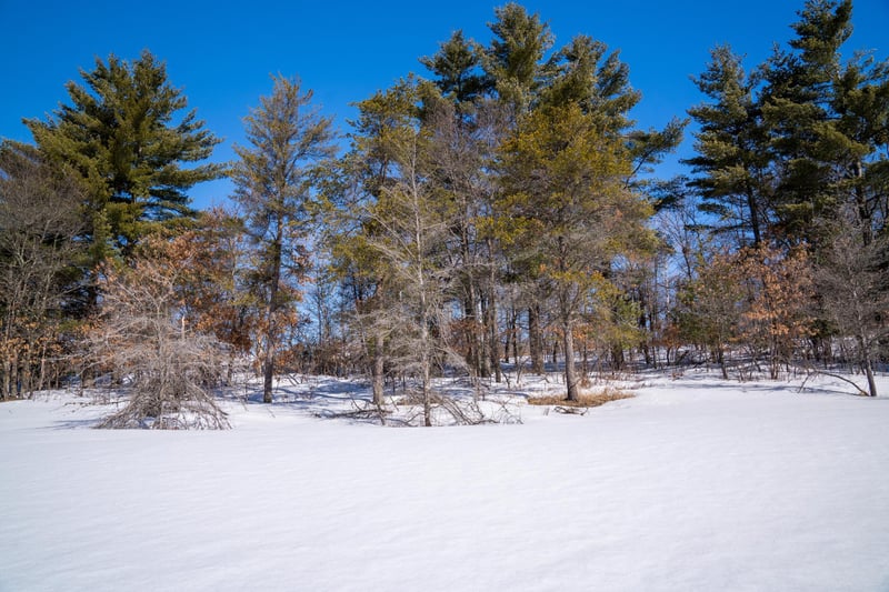 115xx County Rd Y, Barnes, WI 54873