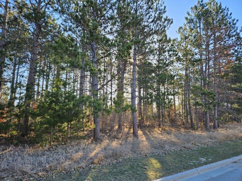 TBD Lomond Dr NW, Bagley, MN 56621