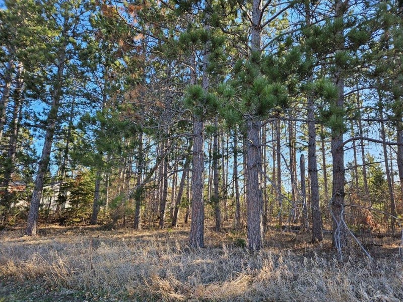 TBD Lomond Dr NW, Bagley, MN 56621