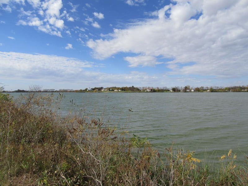680 W Lake St, Avoca, MN 56114