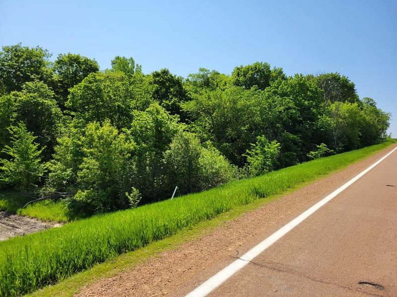 XXX County Road 41, Cologne, MN 55322