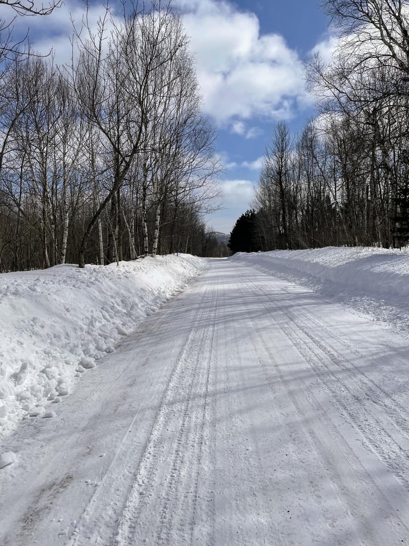 5247 Mattson Rd, Finland, MN 55603