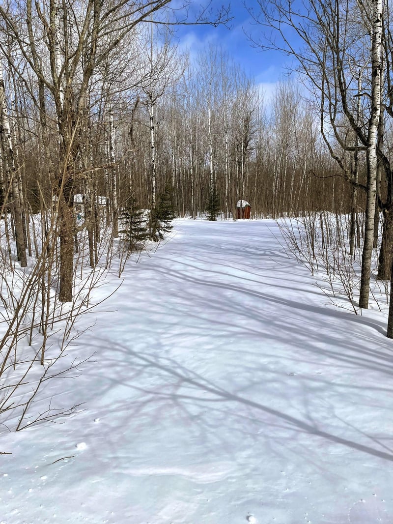 5247 Mattson Rd, Finland, MN 55603