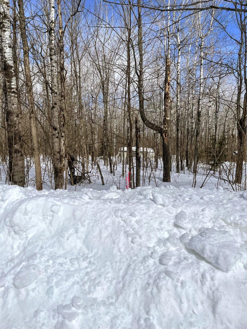 5247 Mattson Rd, Finland, MN 55603