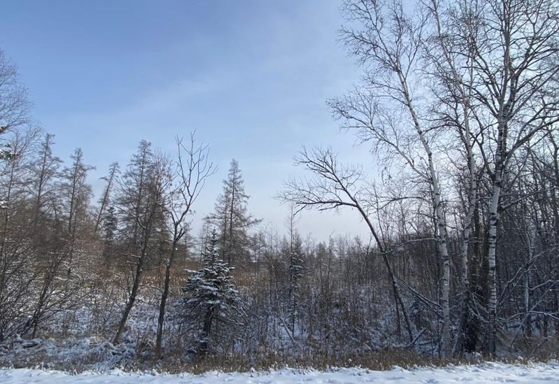 20772 Toad Mountain Rd, Osage, MN 56570