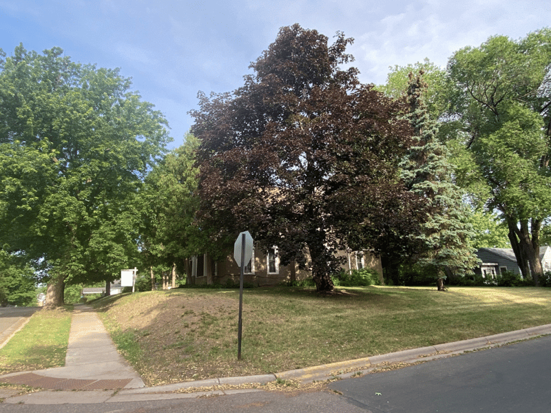 348 Elm Ave E, Delano, MN 55328