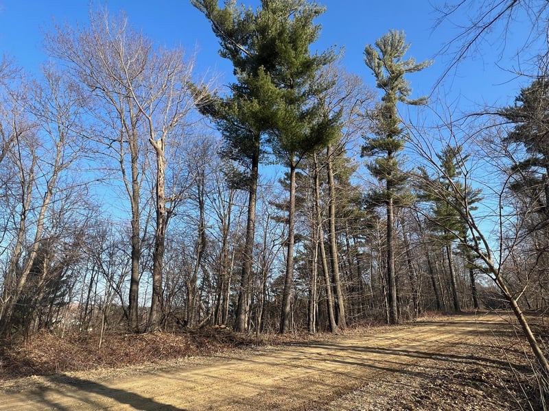 Unit 8 297th St, Eau Galle, WI 54737