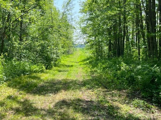 13495 State Hwy 27, Sturgeon Lake, MN 55783