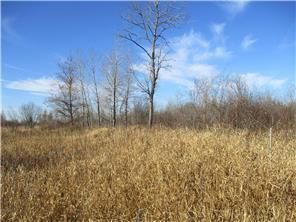 XXX Boreal Rd, Meadowlands, MN 55765