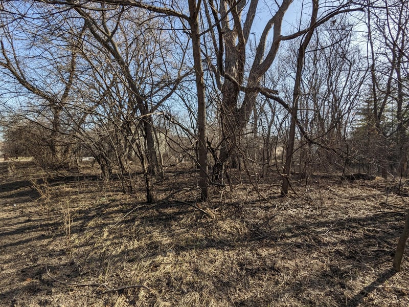 13XX 3rd St, Saint Paul Park, MN 55071
