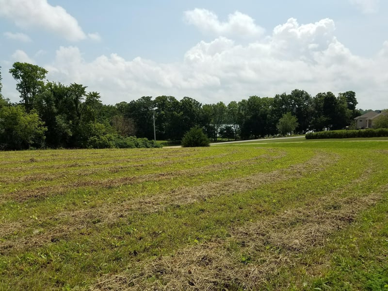 43429 39th, Elysian, MN 56028