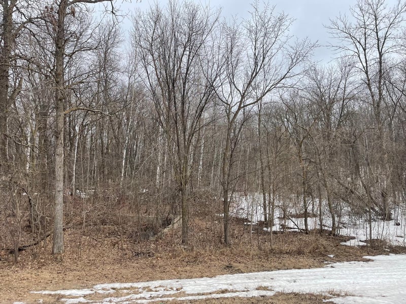 35569 Mission Rd, Ogema, MN 56569