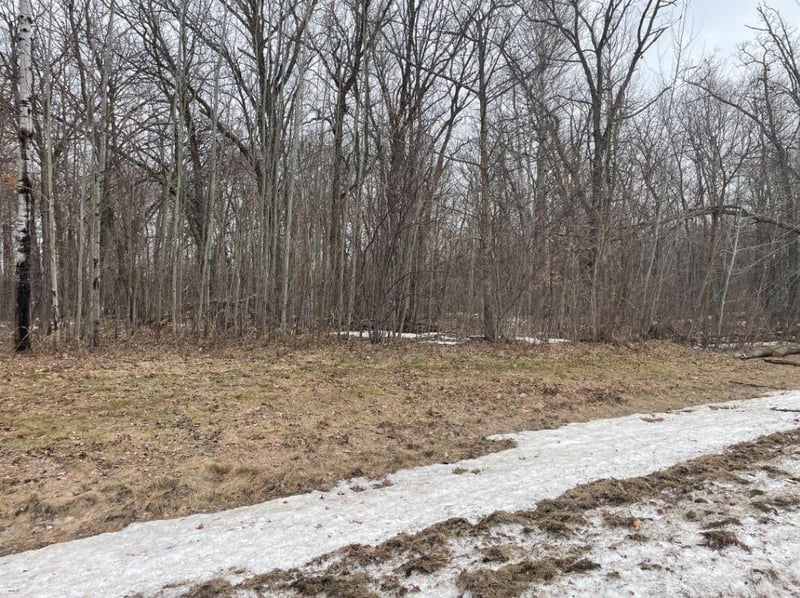 35569 Mission Rd, Ogema, MN 56569