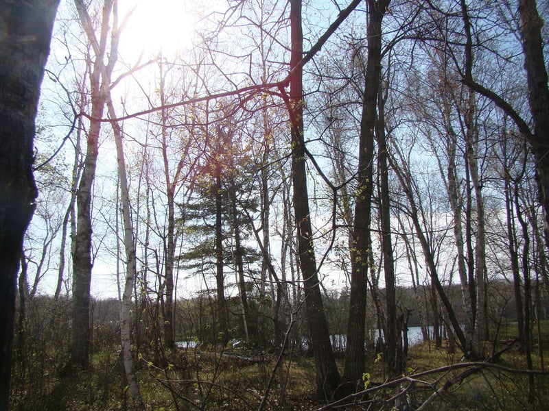 TBD Pinehurst Trl NE, Fifty Lakes, MN 56448