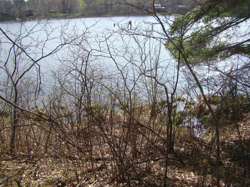 TBD Pinehurst Trl NE, Fifty Lakes, MN 56448