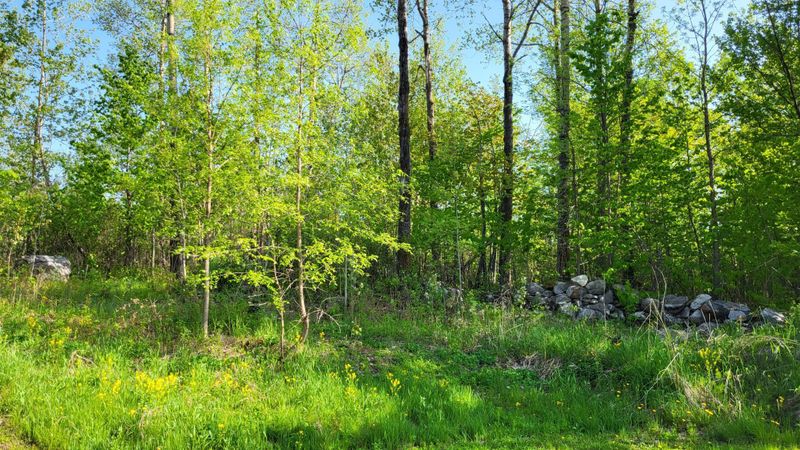 TBD1 Hillcrest Dr, Orr, MN 55771