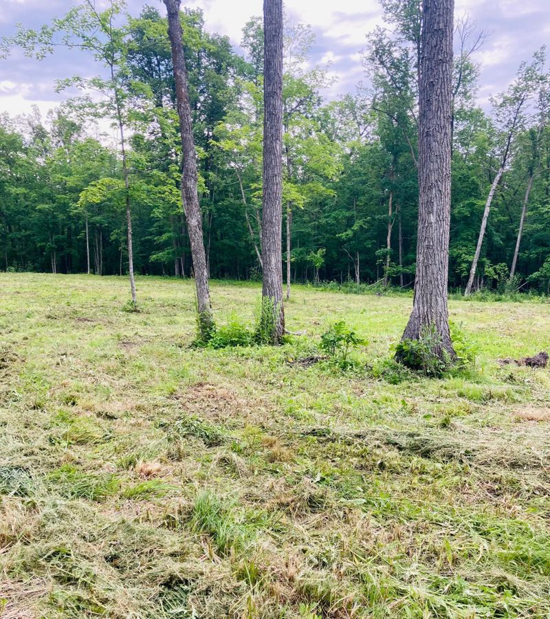 5026 Mud Lake Rd NW, Puposky, MN 56667