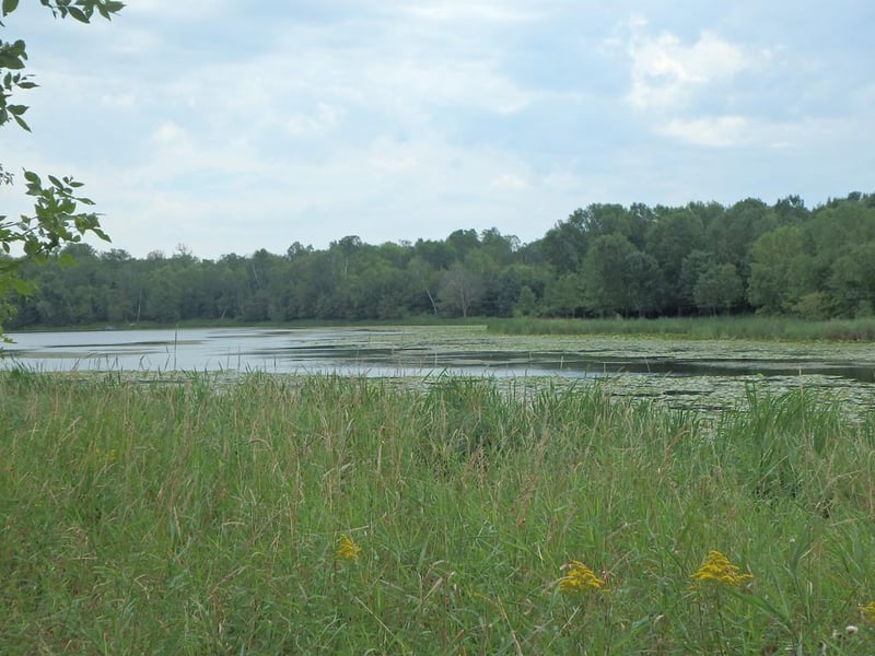 x 231st St, Cushing, WI 54006