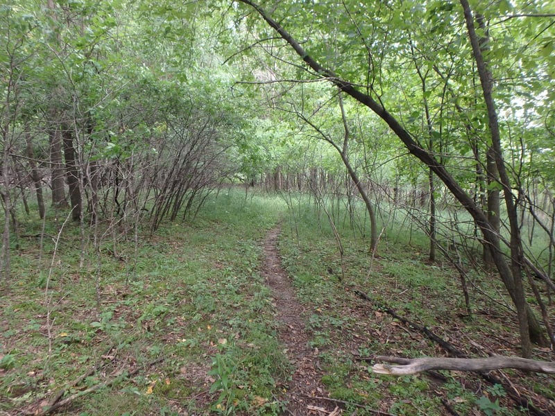 x 231st St, Cushing, WI 54006