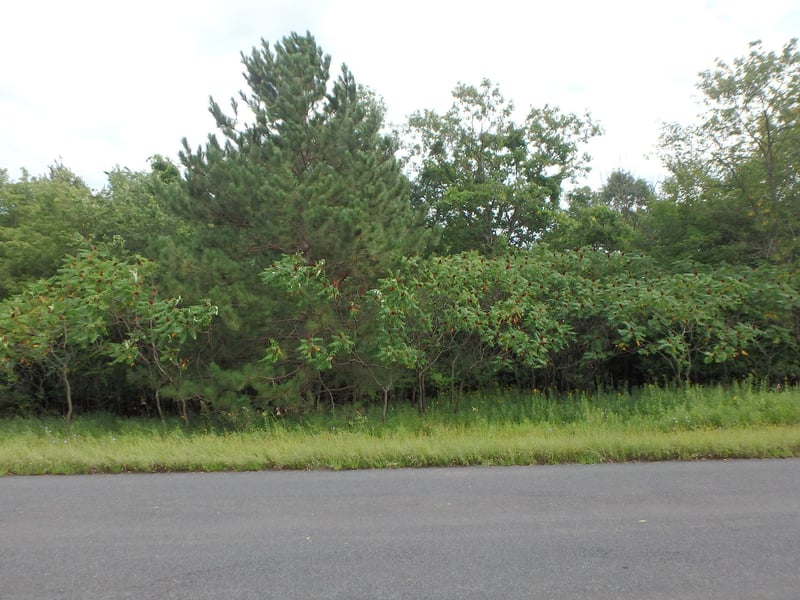 x 231st St, Cushing, WI 54006