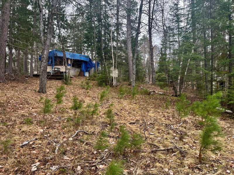13192 Echo Ln, Side Lake, MN 55781