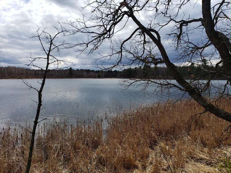 TBD Harlequin Dr, Nevis, MN 56467