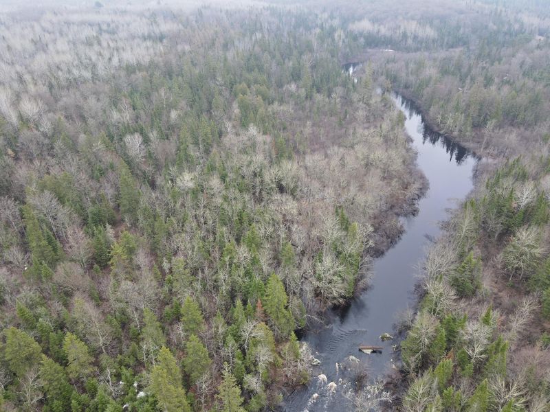 TBD Long Lake Rd, Glidden, WI 54527