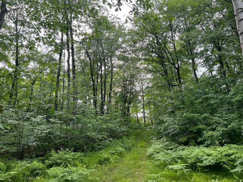TBD Wayside Rd, Iron River, WI 54847