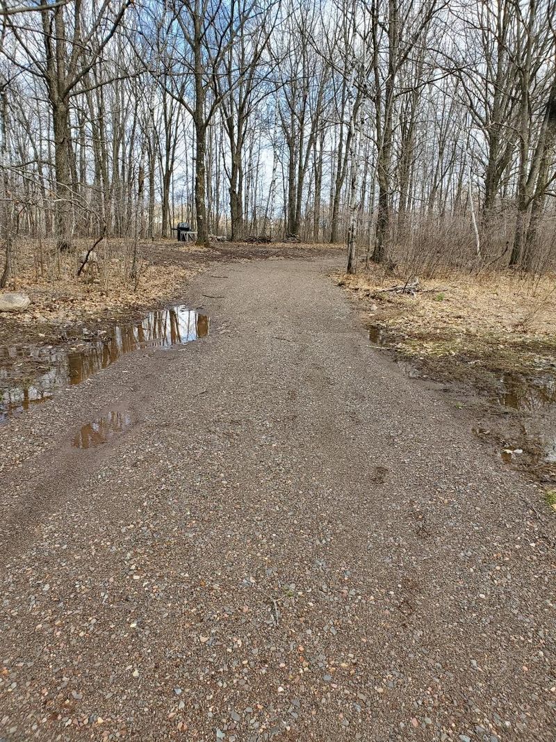 32128 Red Raspberry Rd, Brook Park, MN 55007