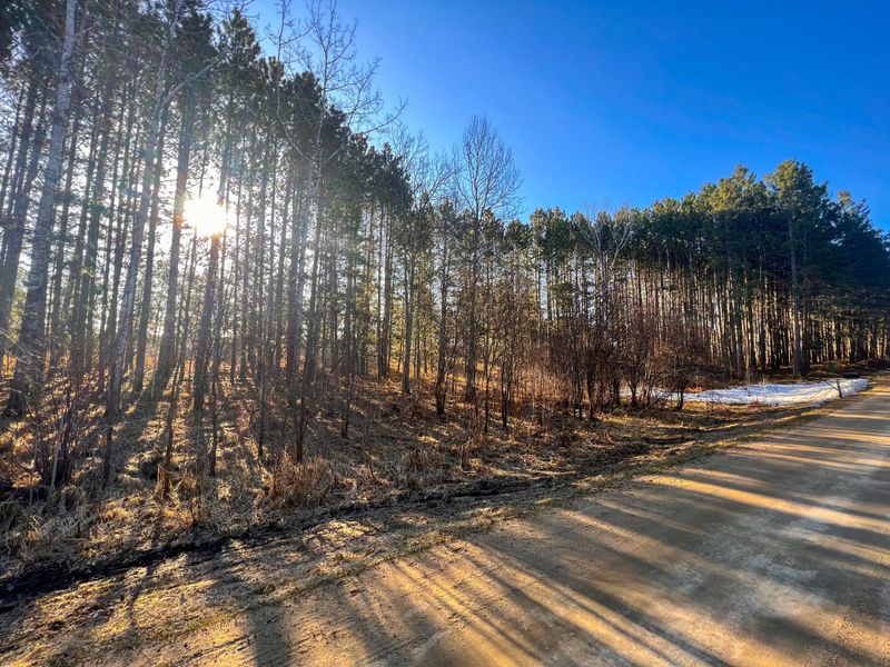 TBD Lot 17 Bel Tree Dr NE, Bemidji, MN 56601