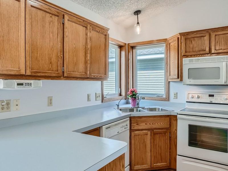 1016 Oak St, Farmington, MN 55024