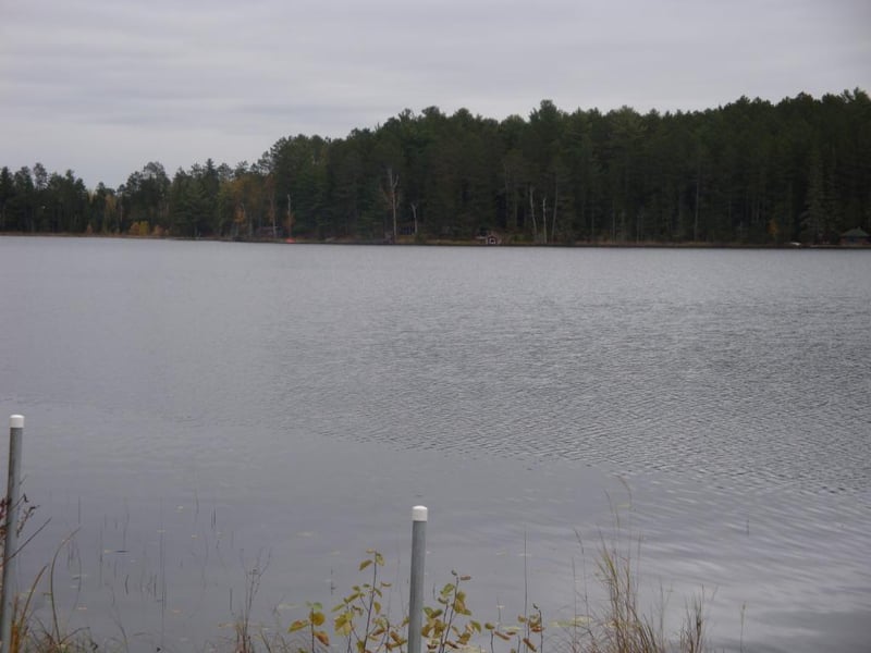 1463 Cackleberry Dr, Cotton, MN 55724