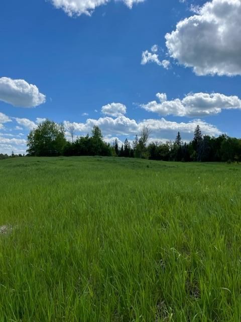 TBD 221st Ave, Bagley, MN 56621
