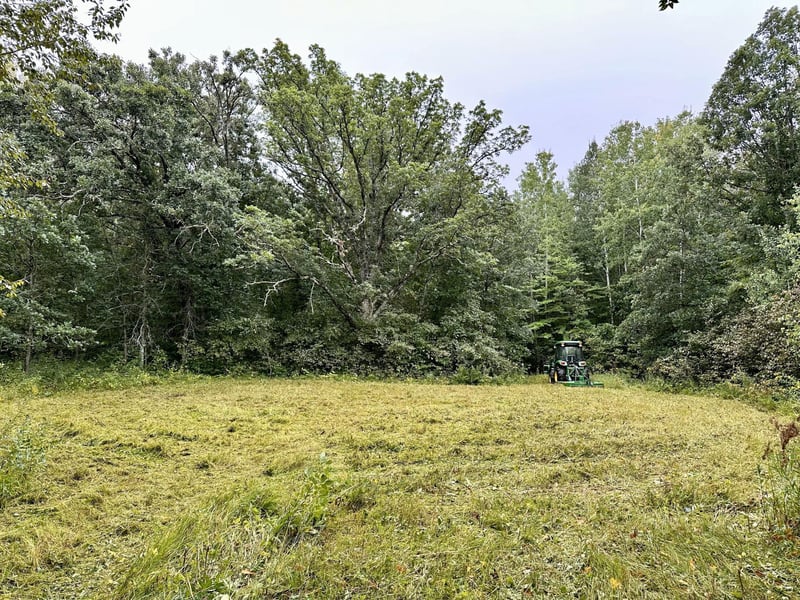TBD County Road 154, Federal Dam, MN 56641