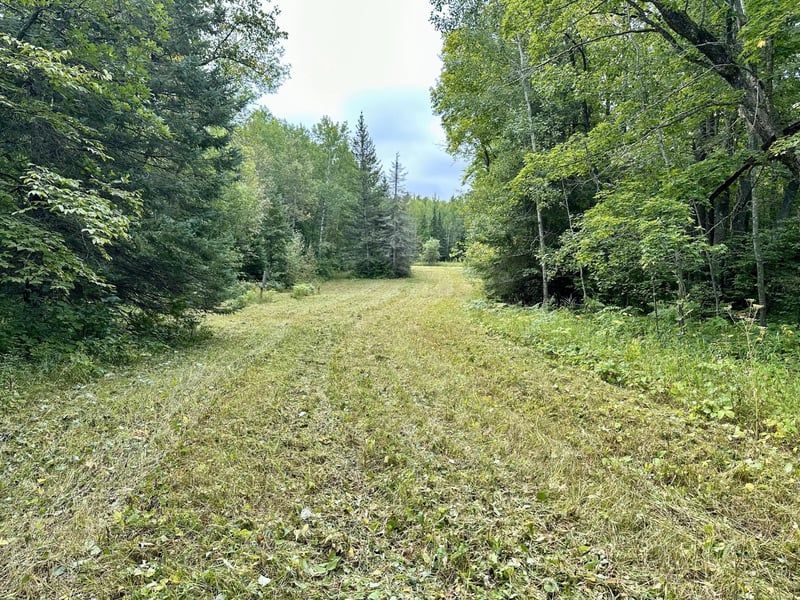 TBD County Road 154, Federal Dam, MN 56641
