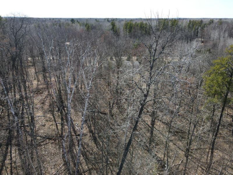 lot 2-3 b1 Red Oak Dr, Hackensack, MN 56452