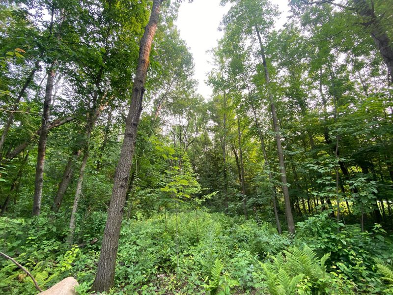 2446 2nd St, Cumberland, WI 54829