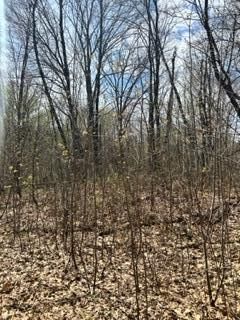 XXX Sapphire Ln, Cushing, MN 56443