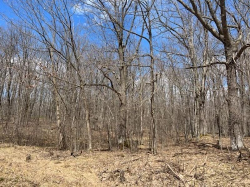 866 29th Ave, Barronett, WI 54813