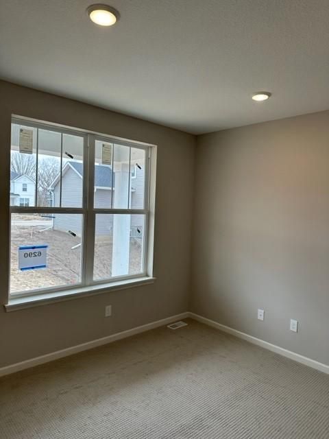 6290 Graiton Ct S, Cottage Grove, MN 55016