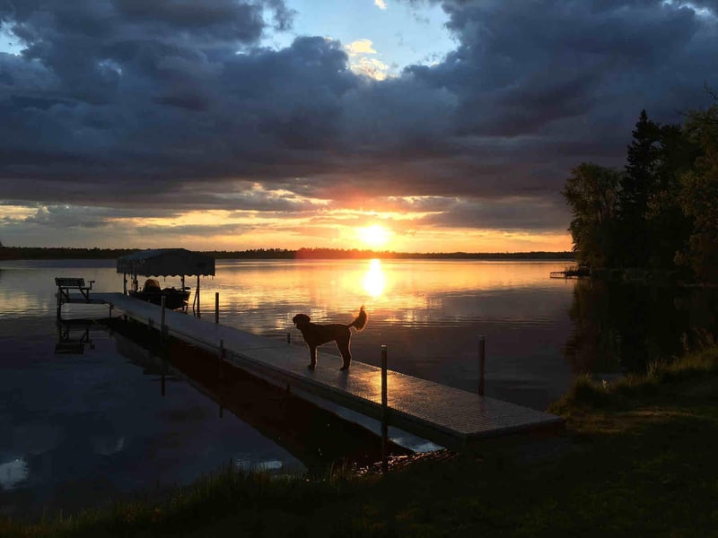 31398 E Round Lake Rd, Ponsford, MN 56575