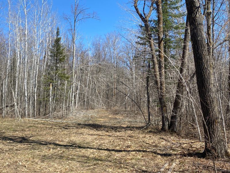 xxx Maple Rd, Willow River, MN 55795