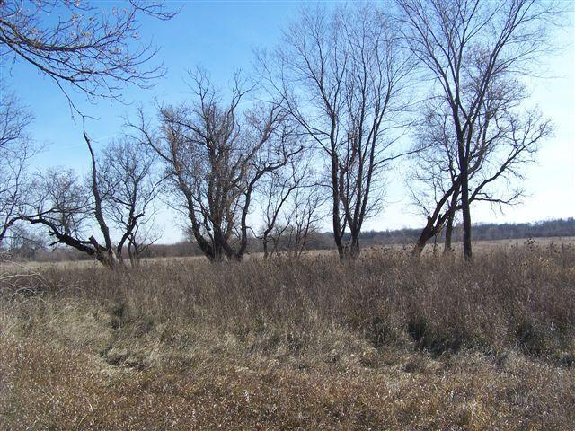 46809 270th St, Brooten, MN 56316