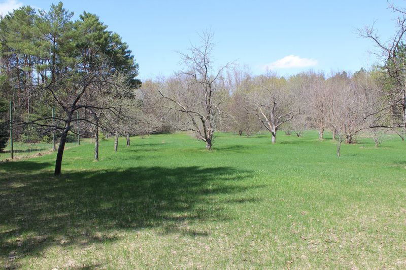 XXXX Aspen, Princeton, MN 55371