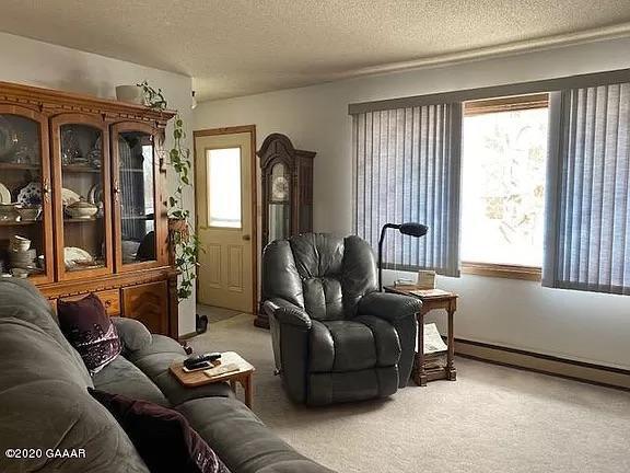 702 3rd St, Barrett, MN 56311