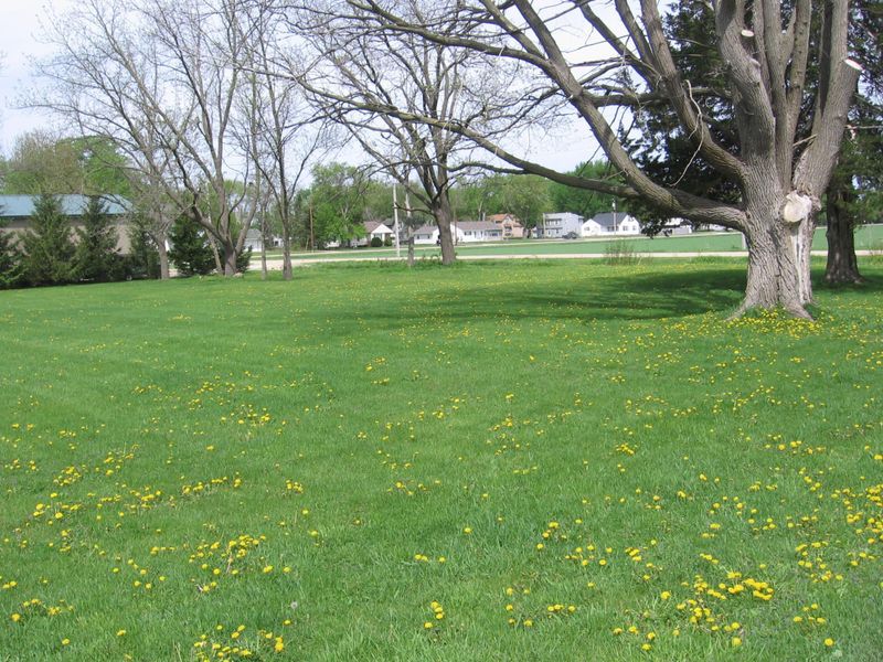 510 5th St, Lyle, MN 55953