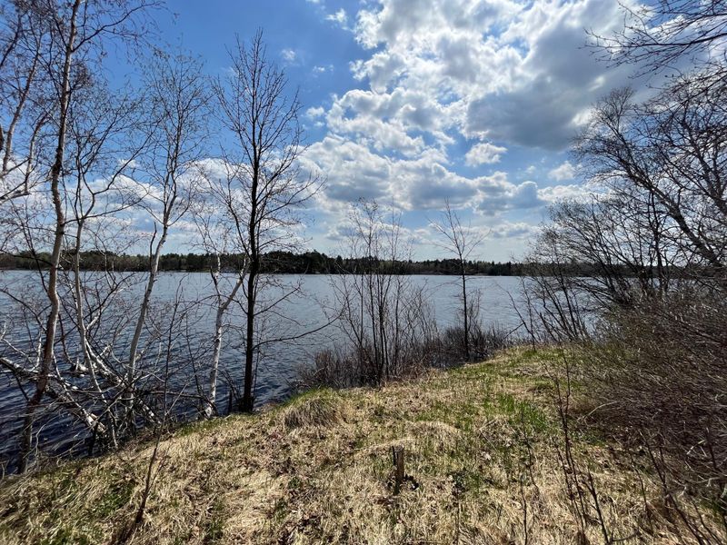 0 Waters Of Vermilion Rd, Tower, MN 55790