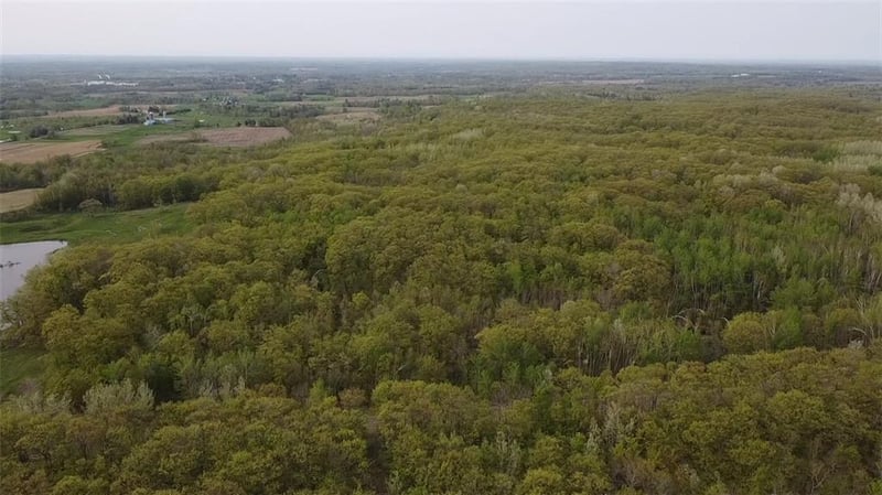 0 County Highway F, Weyerhaeuser, WI 54895
