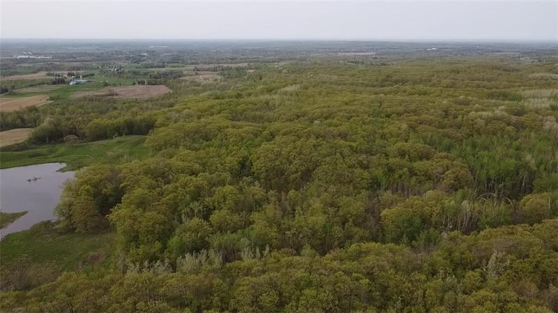 0 County Highway F, Weyerhaeuser, WI 54895
